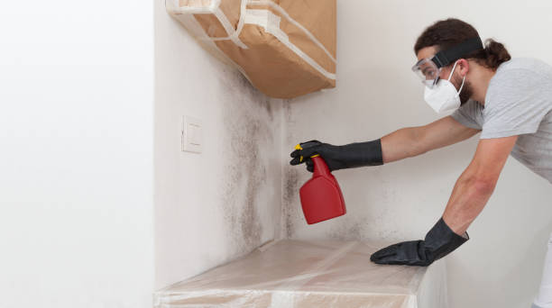 Professional Crawl Space Mold Removal technician working in Gillette, NJ