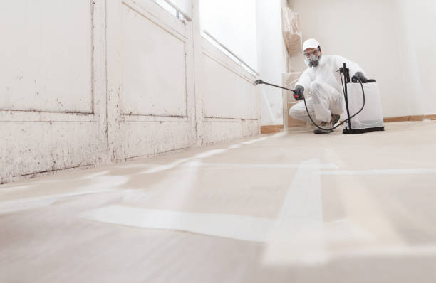 24/7 Emergency Crawl Space Mold Removal experts in Gillette, NJ