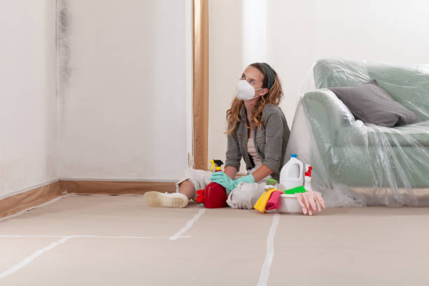 Reliable Crawl Space Mold Removal contractor in Gillette, NJ by WQB Mold Removal