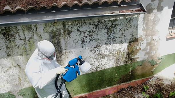 Top rated local Crawl Space Mold Removal specialists in Gillette, NJ